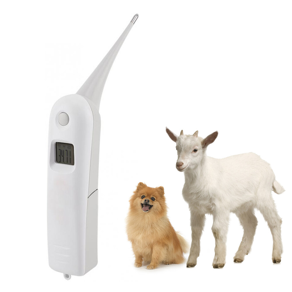 Pet Temperature Measurement Dog Temperature Measurement Fast Digital