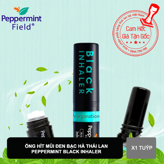 (Black) 01 Ống hít ĐEN 2 Đầu Black Inhaler Peppermint Thái Lan