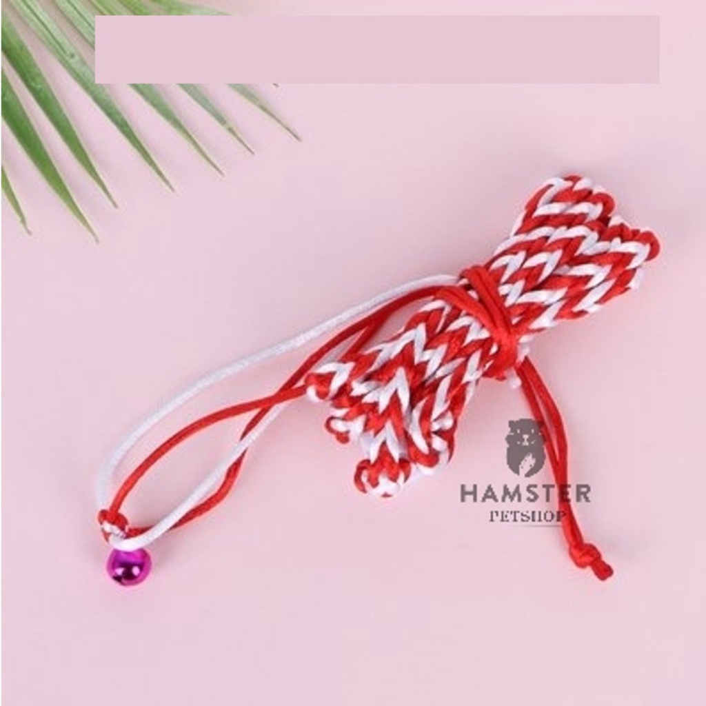 Dây dắt hamster, , Sóc , đuôi mập, chuột lang