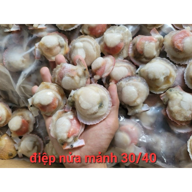 Sò điệp tách nửa mảnh bịch 1kg