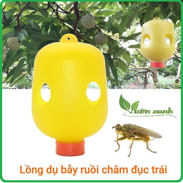 Set 2 chiếc Lồng bẫy ruồi vàng, ruồi đục trái (nhựa)