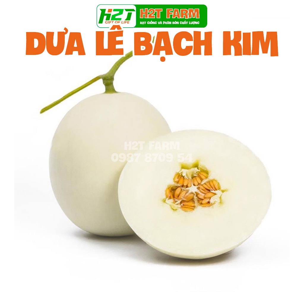 Hạt giống dưa lê bạch kim - h2t farm