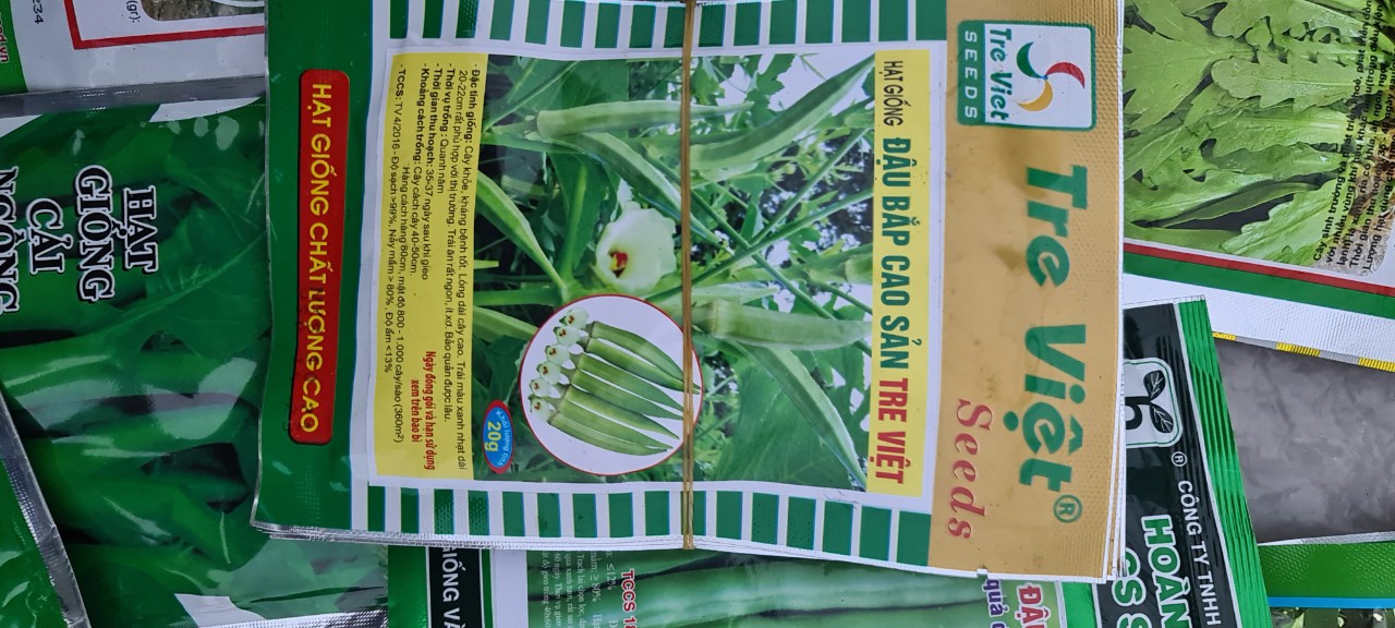 Hạt giống đậu bắp cao sản gói 20gram