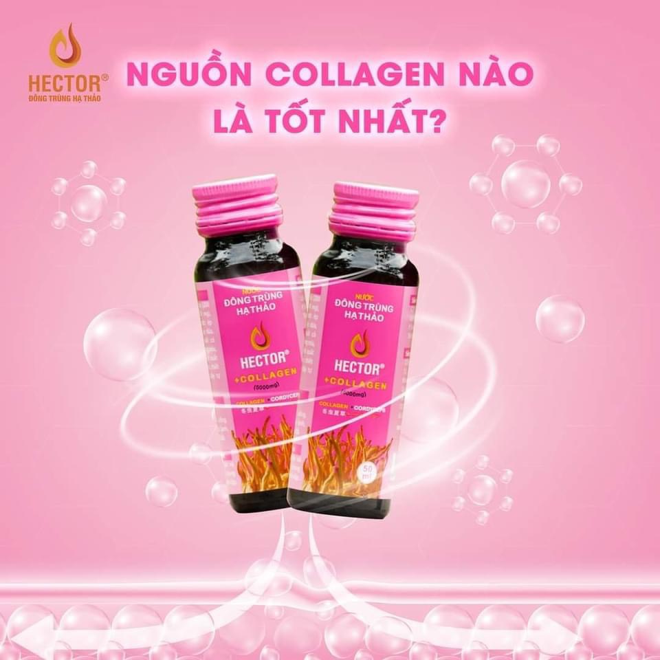 NƯỚC ĐÔNG TRÙNG HẠ THẢO HECTOR COLLAGEN