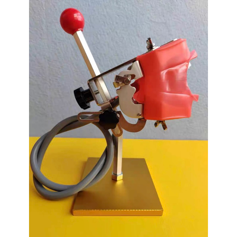 Phantom thực hành nha khoa - hàng đặt trước