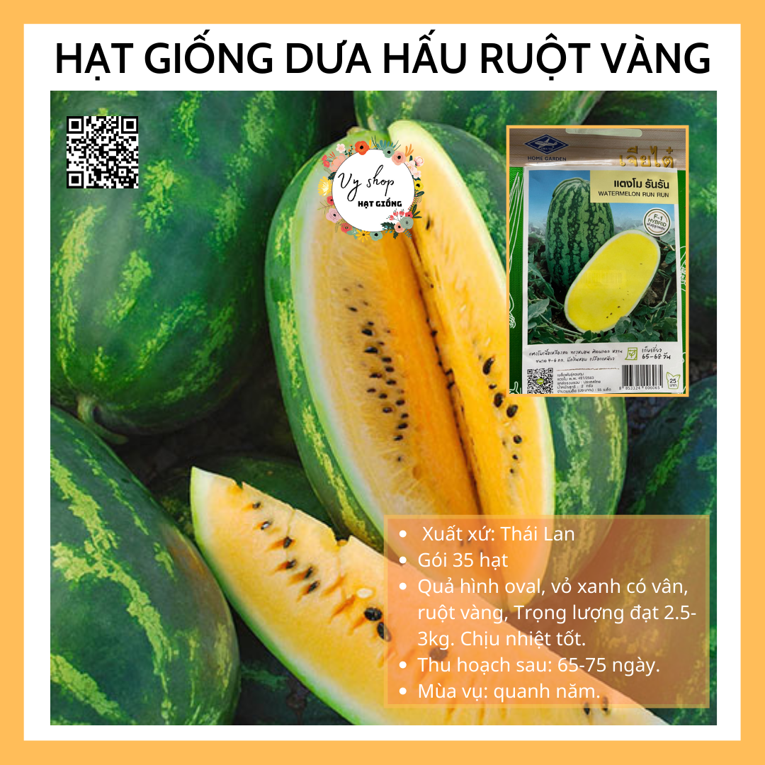 Hạt giống dưa hấu ruột vàng Thái Lan