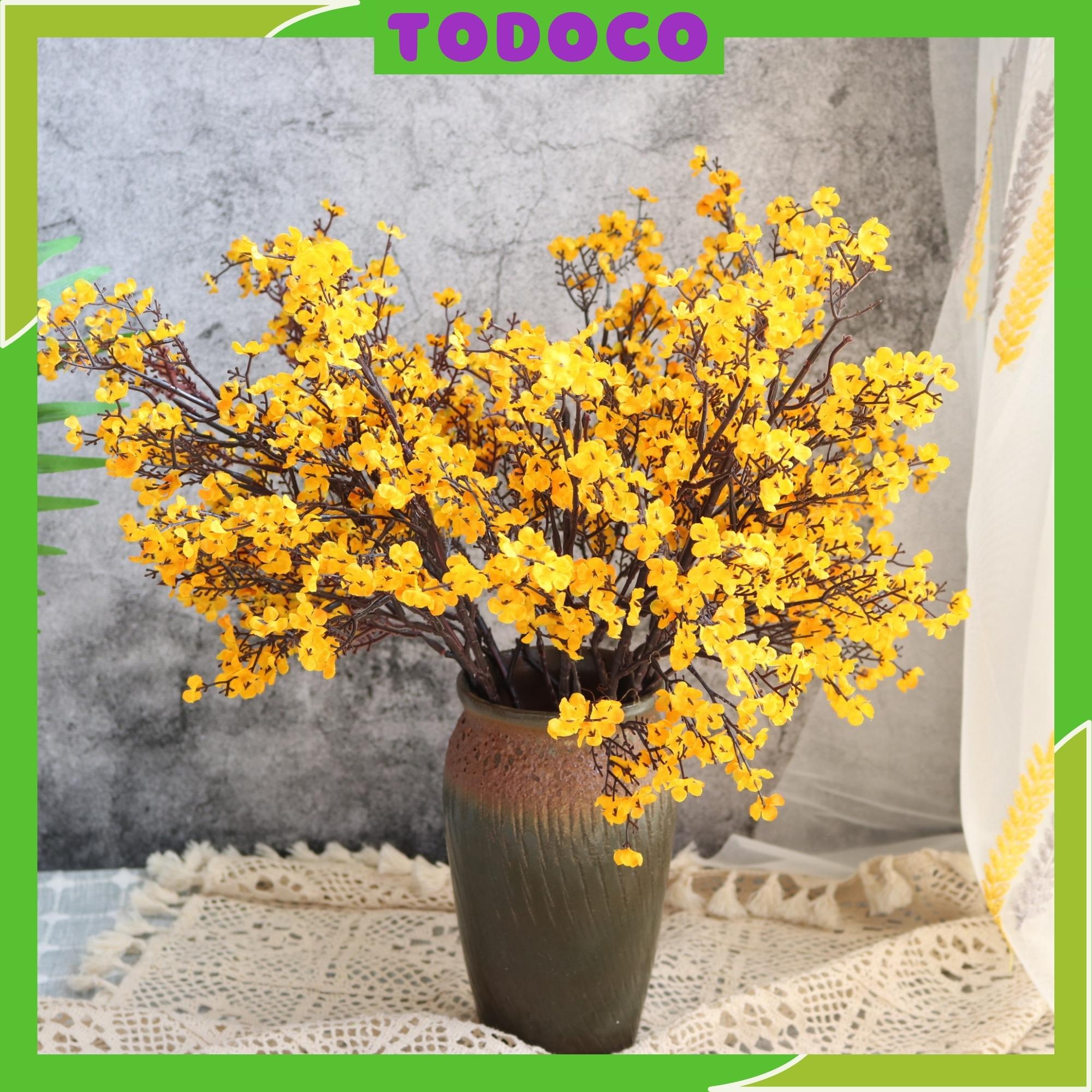 Cành hoa mai vàng -Mai Mỹ - thân cổ