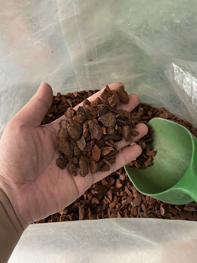 1Kg Vỏ Thông nhập khẩu Bồ Đào Nha ! Thông dày , cạnh tròn .
