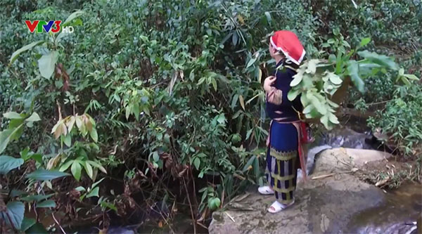 DUNG DỊCH XOANG MŨI DÂN TỘC DAO ĐỎ HÀ GIANG