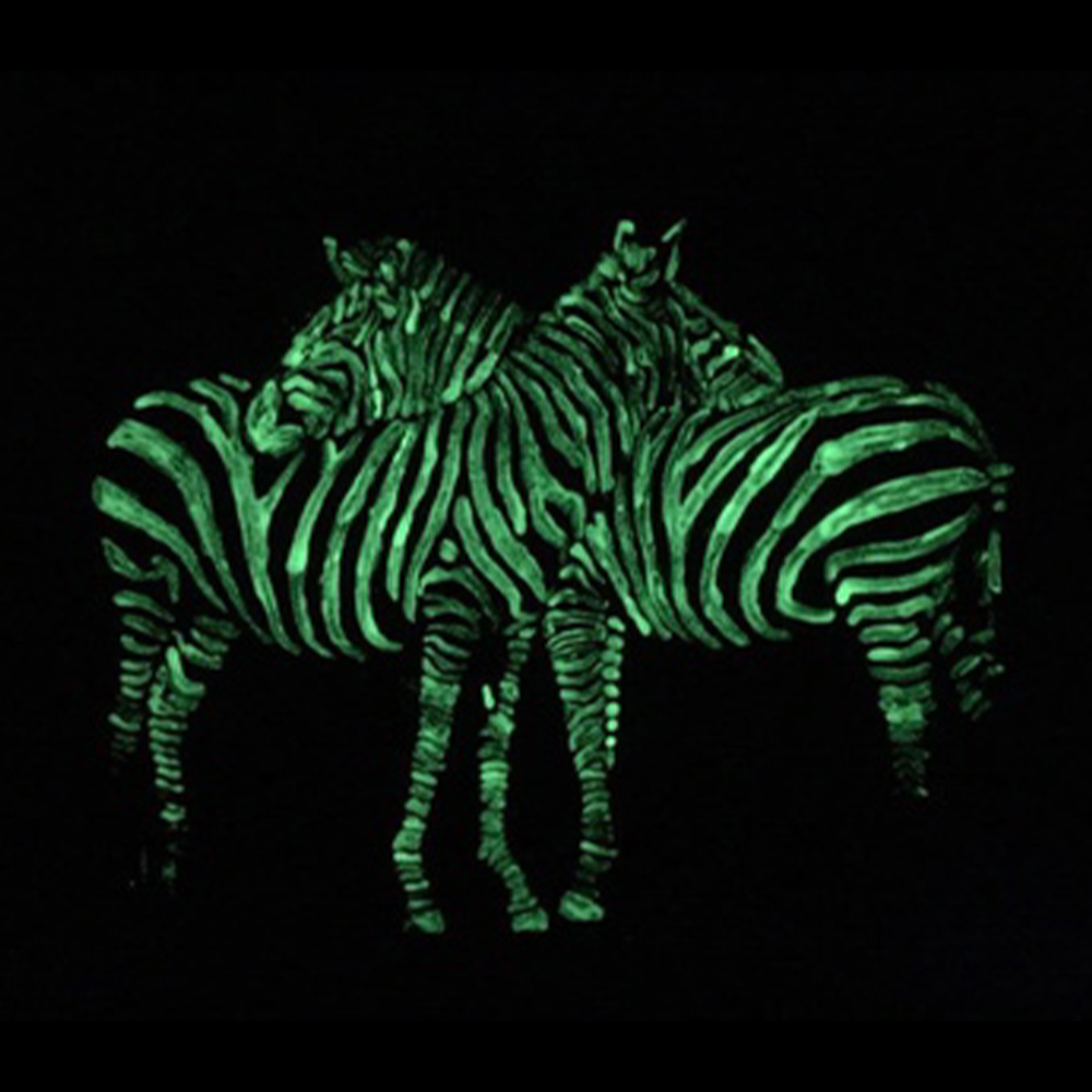 %E3%80%90SkinHorizon%E3%80%9120g%20Yellow%20Green%20Glow%20in%20The%20Dark%20Luminous%20Paint%20Shining%20for%20Home%20Party%20Christmas%20Decoration%20Pigment%20-%20Image%206