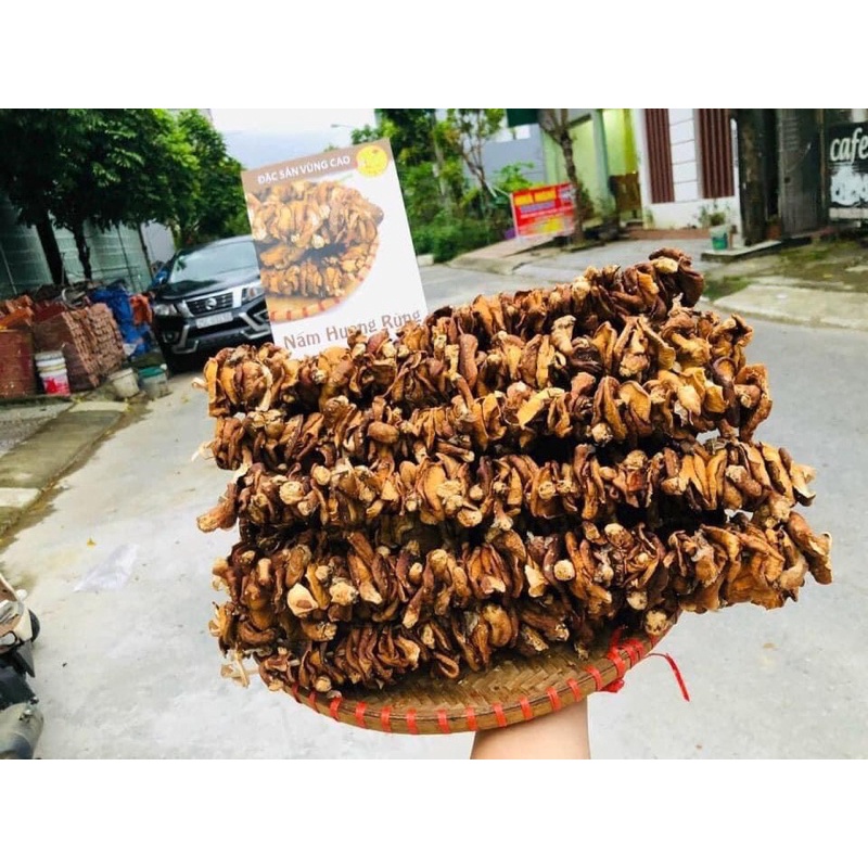 [FreeShip] Nấm Hương Rừng Tây Bắc (Đặc Sản Vùng cao)