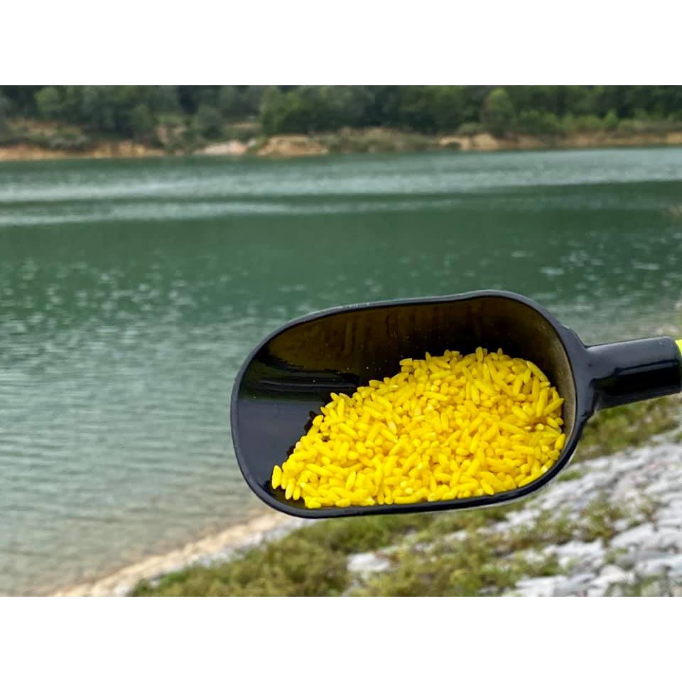 GẠO RƯỢU SA PHẠM Câu Cá 800G - GR01 16 SMILE