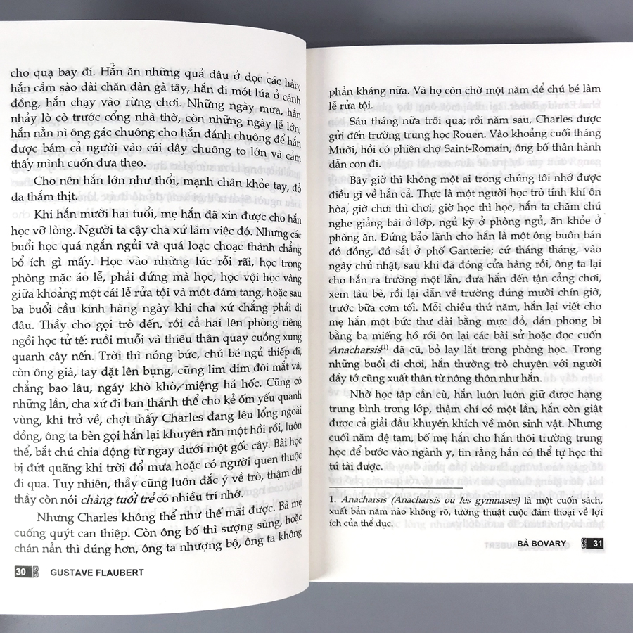 Sách Bà Bovary