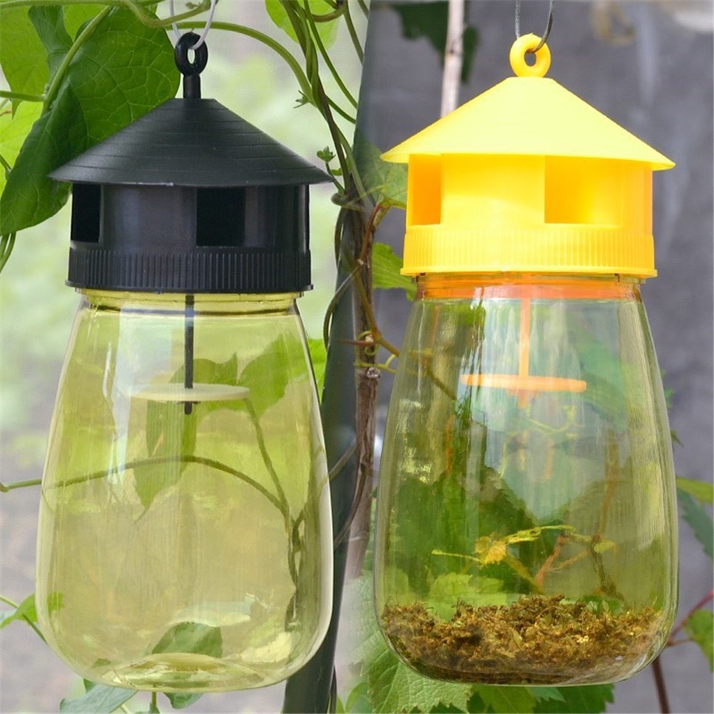 BỘ SẢN PHẨM BẪY RUỒI VÀNG GỒM LỒNG BẪY + CHẤT DẪN DỤ
