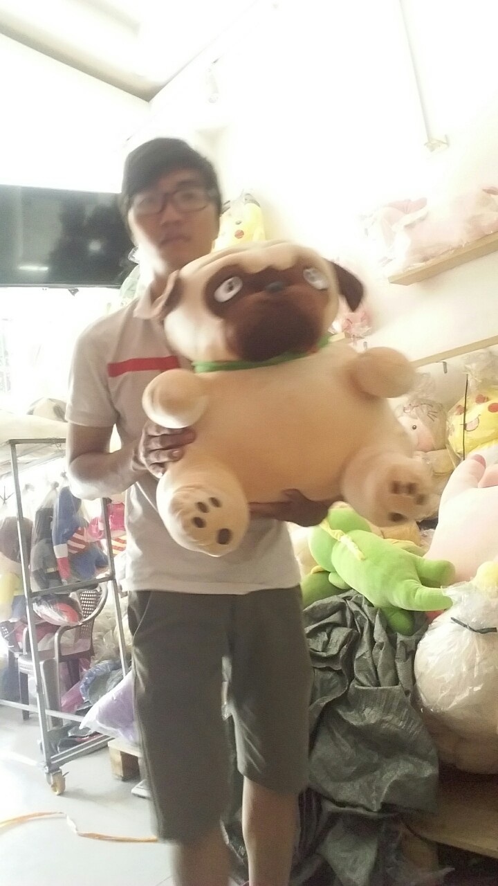 Gấu bông chó mặt xệ Chó Pug