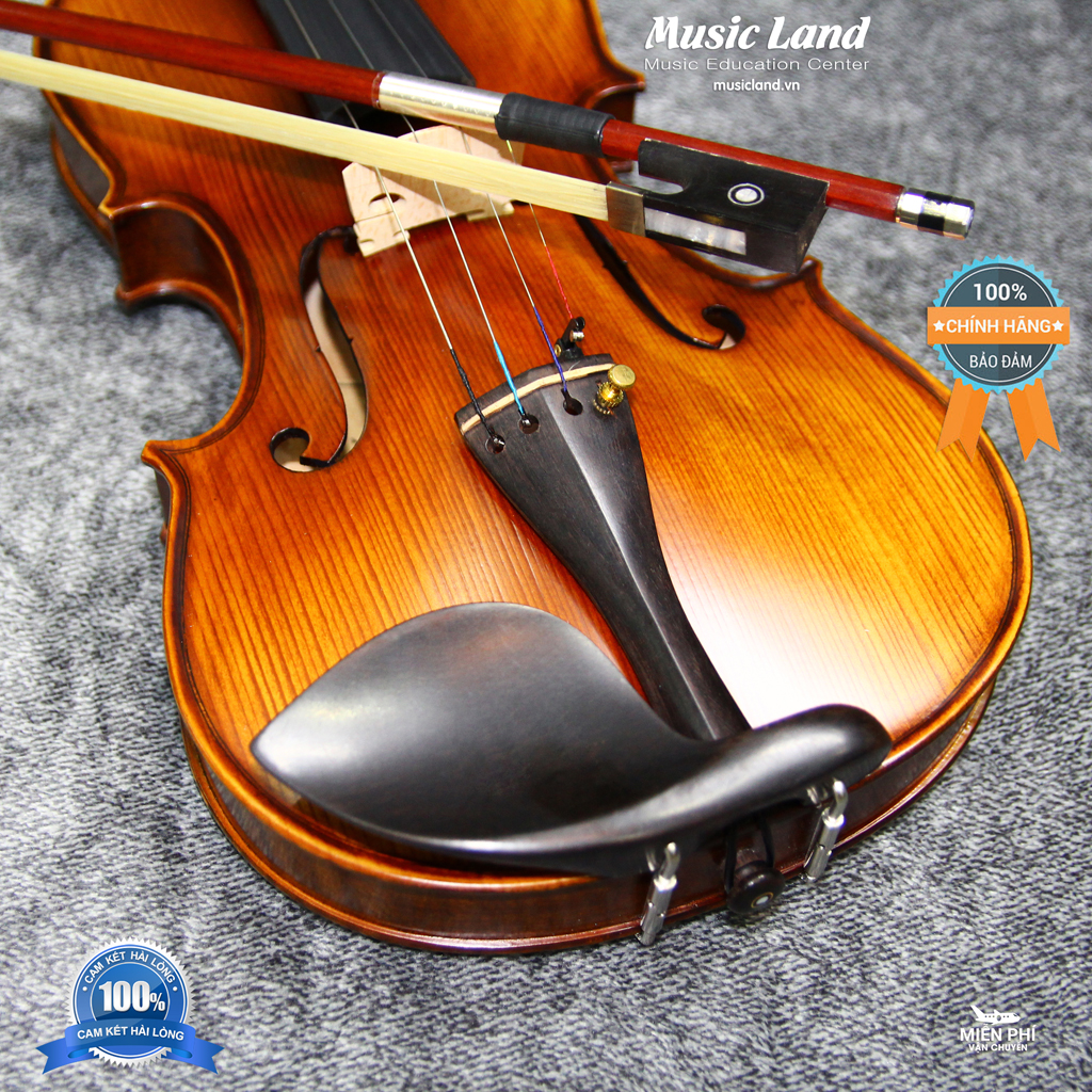 Đàn Violin Amati VM118 – Chính Hãng