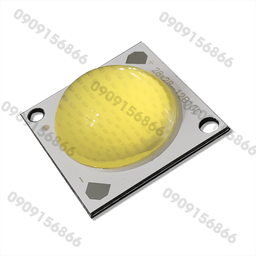 Mắt led cob 36v 50w lồi