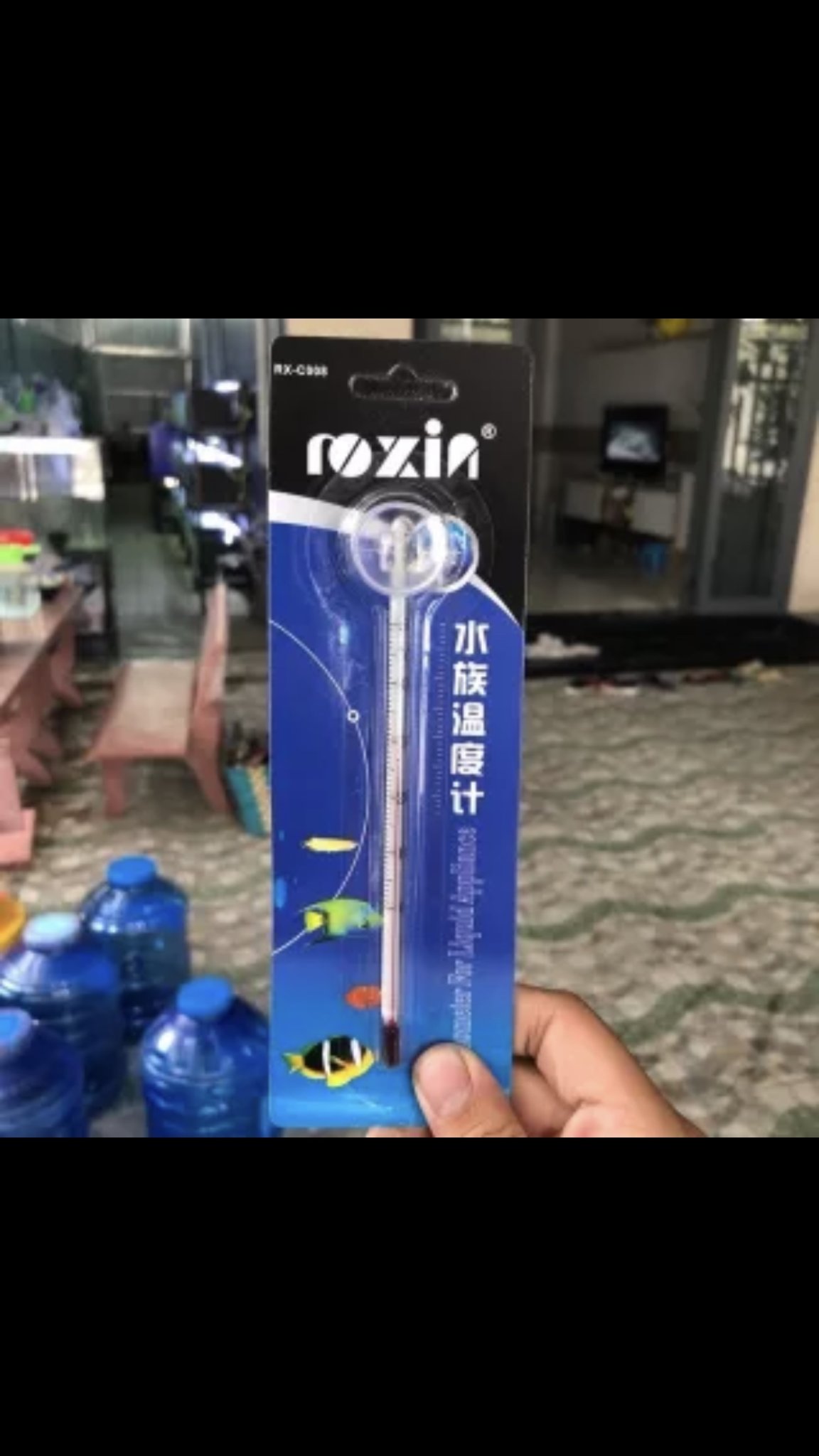 [NHIỆT ĐỘ HỒ CÁ] Nhiệt kế thủy tinh cho hồ cá cảnh