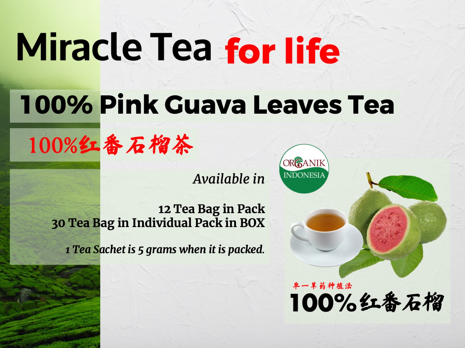 15 Tea Brands In Singapore For That Ultimate Zen And Calm