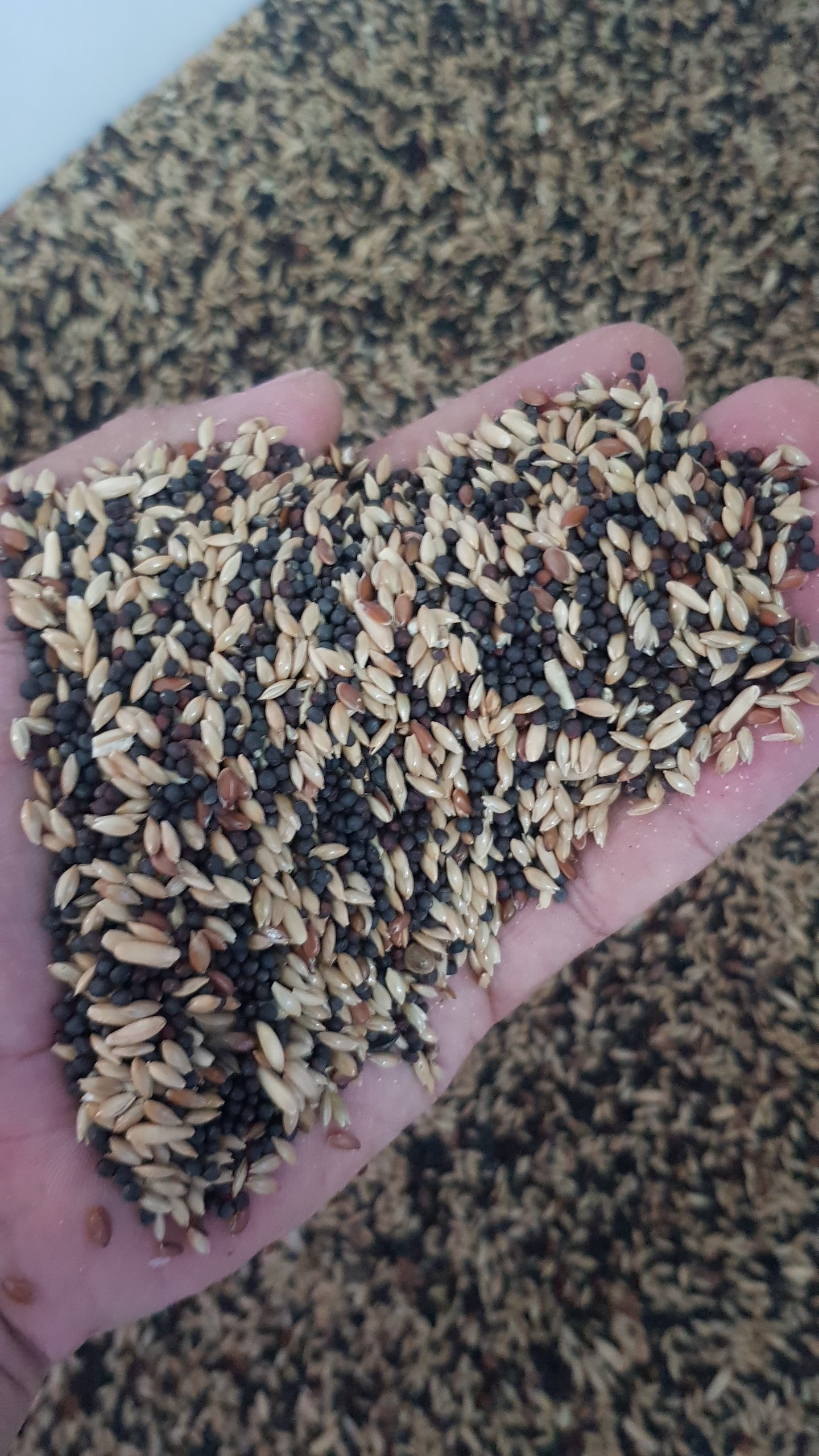 Hạt Trộn Yến Hót gói 500g/1kg (hàng nhập chiết lẻ từ bao 20 kg)