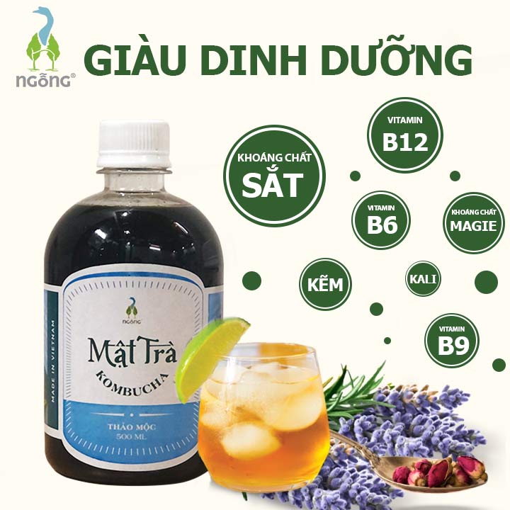 Mật Trà KombuchaThảo Mộc 500ml