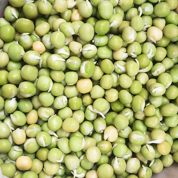 Đậu Hà Lan nhập khẩu túi 1 kg