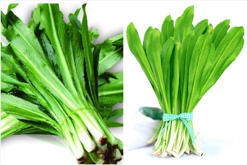 Hạt giống ngò gai - gói 3 gram
