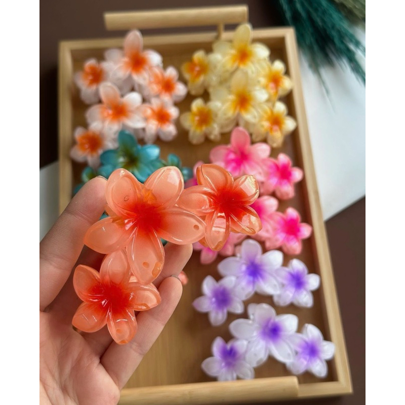 Kẹp Tóc, Gắp Tóc, Cào Tóc 3 Hoa Sứ Hot Trend