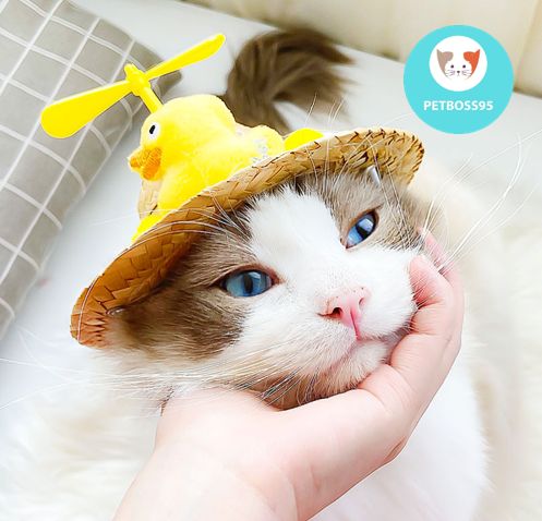 NÓN CỐI CHO CHÓ MÈO SIÊU DỄ THƯƠNG