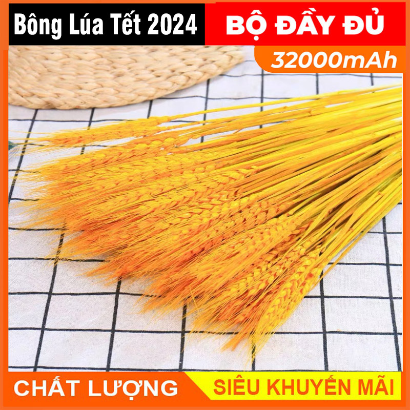Lúa mạch khô (100 Bông) Lúa kiểng trang trí decor để bàn, phụ kiện chụp ảnh,hoa trang trí ngày tết