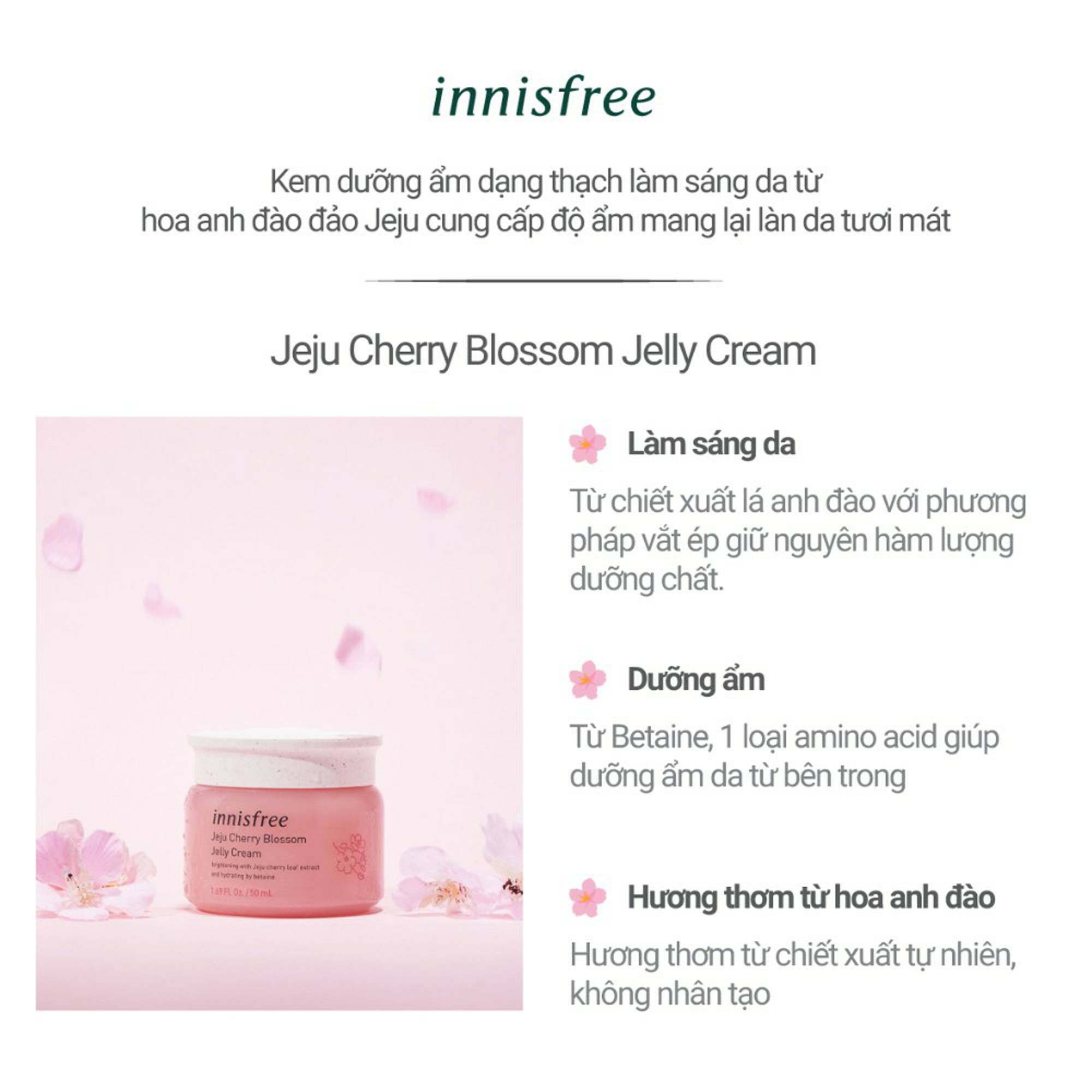 BỘ KEM DƯỠNG TRẮNG DA/ Bộ Dưỡng Ẩm, Trắng Da Chiết Xuất Lá Hoa Anh Đào Innisfree Jeju Cherry Blossom Cream Duo, Hanacosmetics