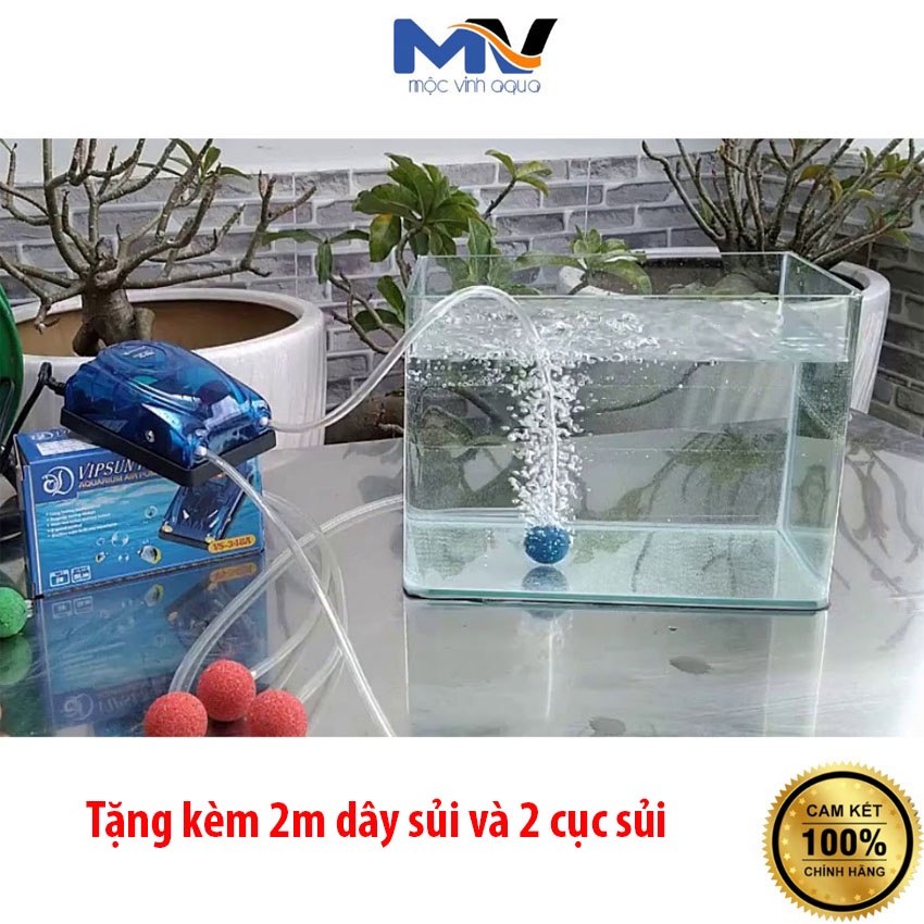 Máy sủi oxy hồ cá 2 vòi Vipsun siêu êm, nhỏ gọn
