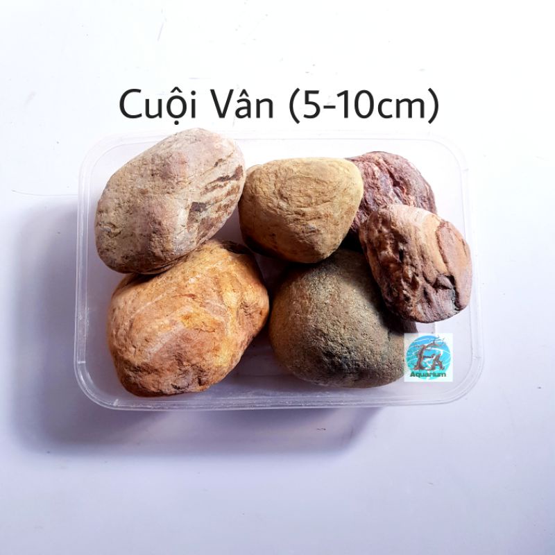 [Mã PET20K giảm 20K đơn 250K] 500G CÁT SUỐI, SẠN SUỐI, CUỘI VÂN