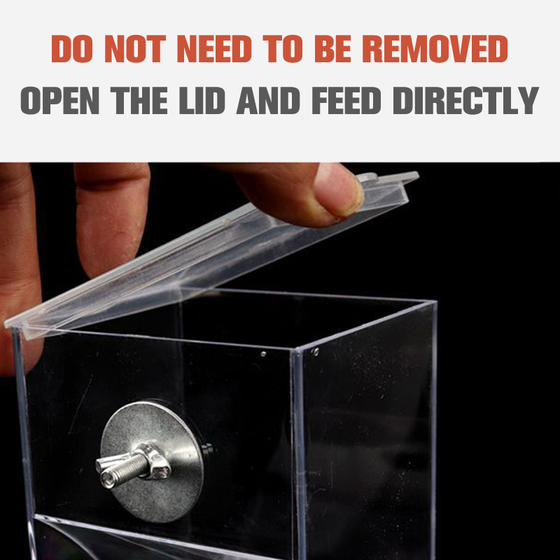 Transparent%20Automatic%20Feeder%20Automatic%20Bird%20Seed%20Feeder%20Hanging%20Food%20Box%20Trough%20ZHANGNA%20-%20Image%203