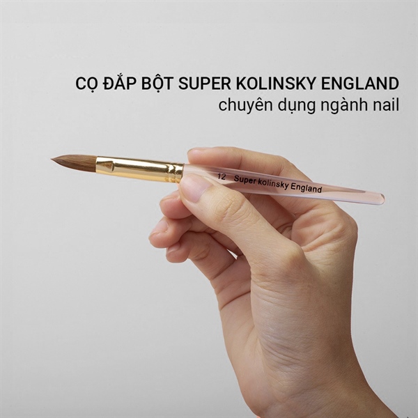 Cọ đắp bột cao cấp cán trong Super Kolinsky England