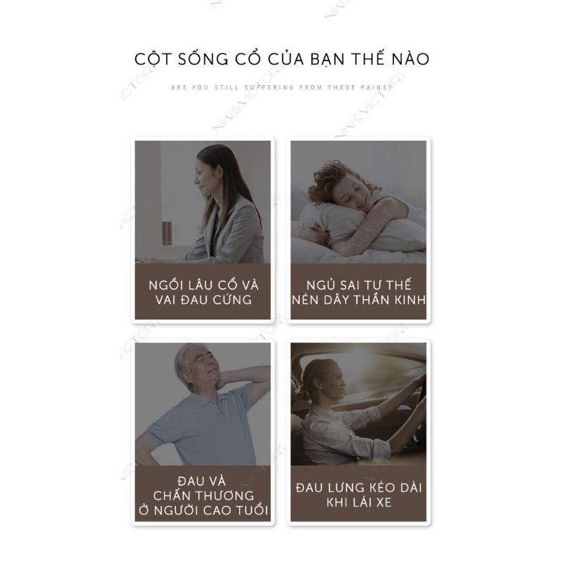 Massage Cổ 3d 4 Cực Jt-808(Jt808)