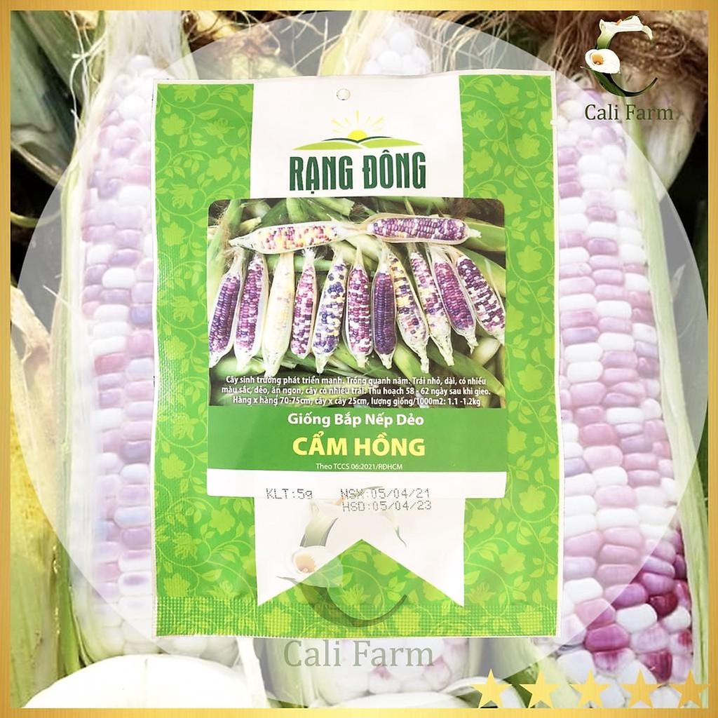 Hạt Giống Bắp Nếp Dẻo Cẩm Hồng 5gr