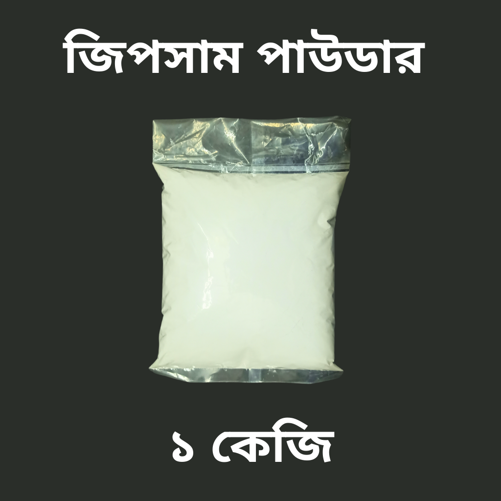 1 kg Gypsum Powder/ Plaster Of Paris For Art and Sculpture, Creative Projects