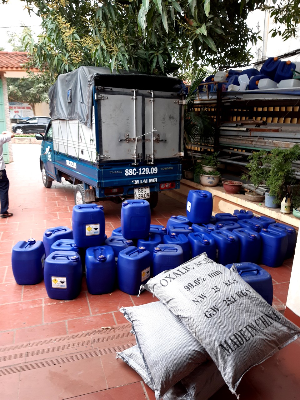 oxy già Hàn Quốc / 10kg