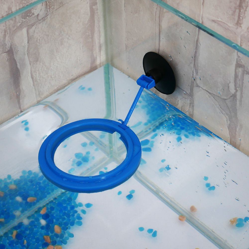 Vòng giữ thức ăn cá cảnh
