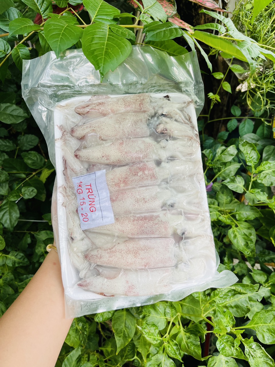 [GIAO NHANH 2H HCM] Giá sỉ 1kg Mực trứng cà mau