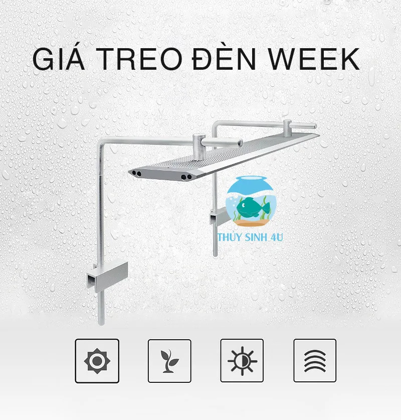 Giá treo đèn Week tròn chính hãng