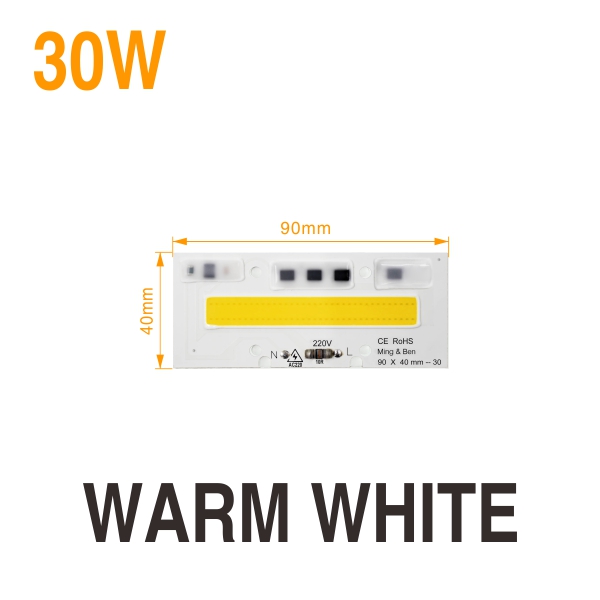 %E3%80%90GlobalTrendz%E3%80%91Smart%20IC%20LED%20COB%20Chip%20Lamp%2030W%2050W%2070W%20100W%20150W%20220V%20110V%20IP65%20Smart%20IC%20For%20DIY%20LED%20Floodlight%20Cold%20Warm%20White%20Outdoor%20Lighting%20-%20Image%202