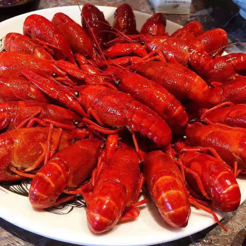 Tôm hùm đất hộp 1kg size 20-30 con