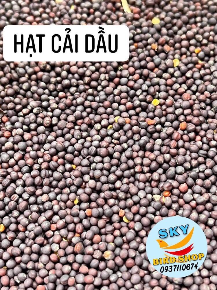 Hạt cải dầu cho cho chim cảnh, sóc bọ, hamster 1kg