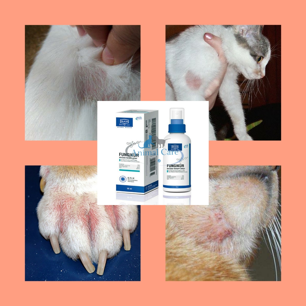 Fugikur xịt nấm cho chó mèo