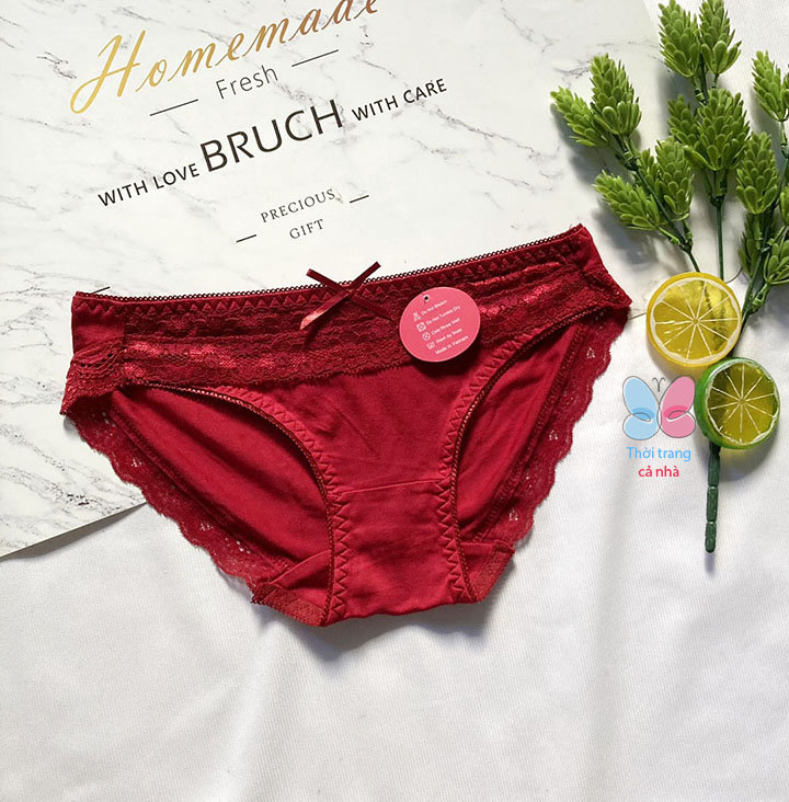 [HCM]QUẦN LÓT NỮ THUN COTTON LỤA PHỐI REN HÀNG VIỆT NAM - QLElena