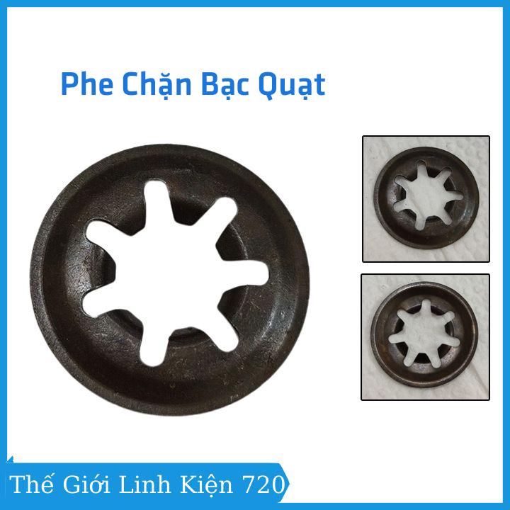 Phe chặn bạc quạt, nhíp quạt