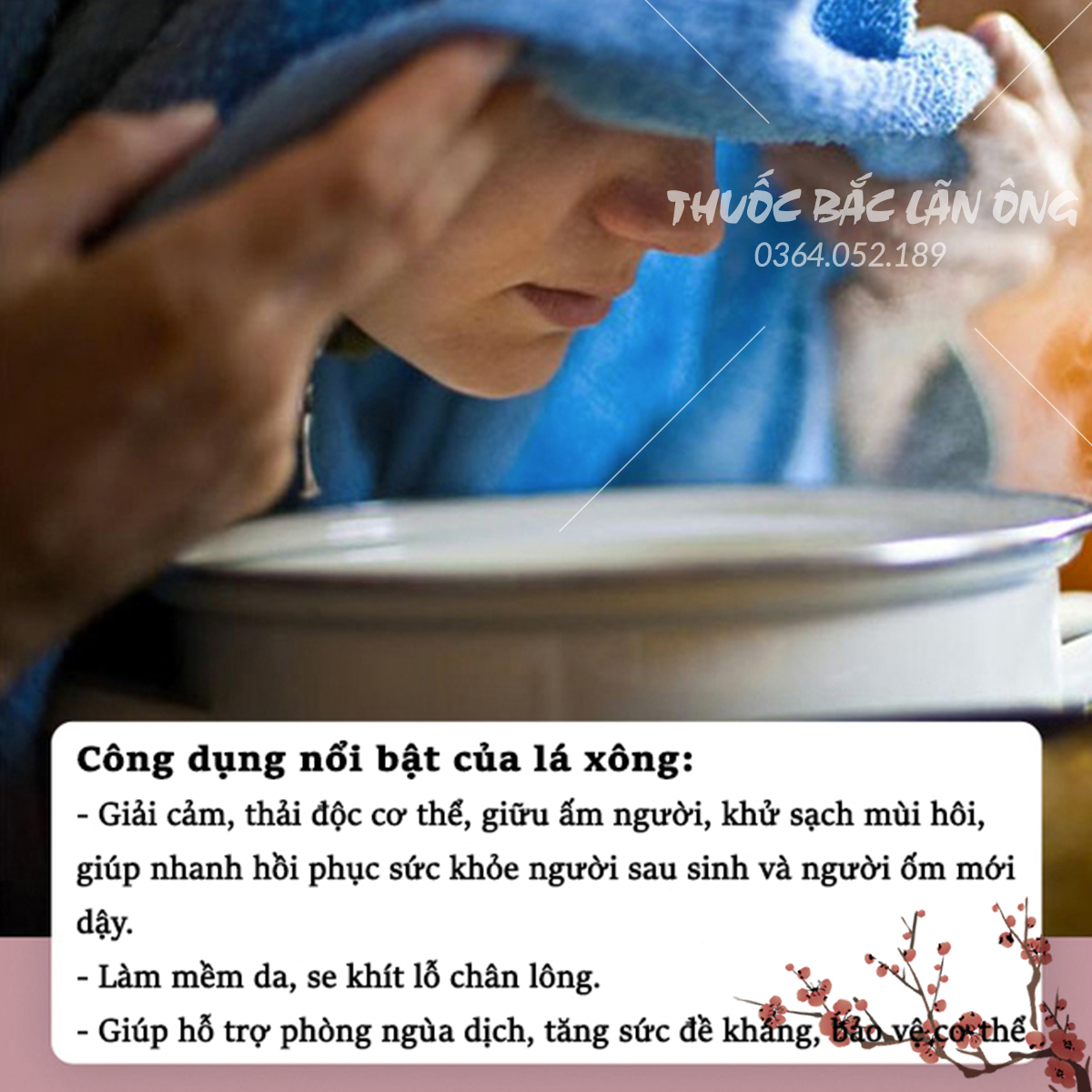 Lá thảo dược xông hơi toàn thân 5 - 10set, lá xông thảo mộc tăng sức đề kháng, phục hồi sức khỏe