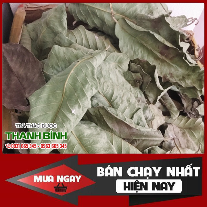 Lá ổi 500g - hàng công ty chất lượng